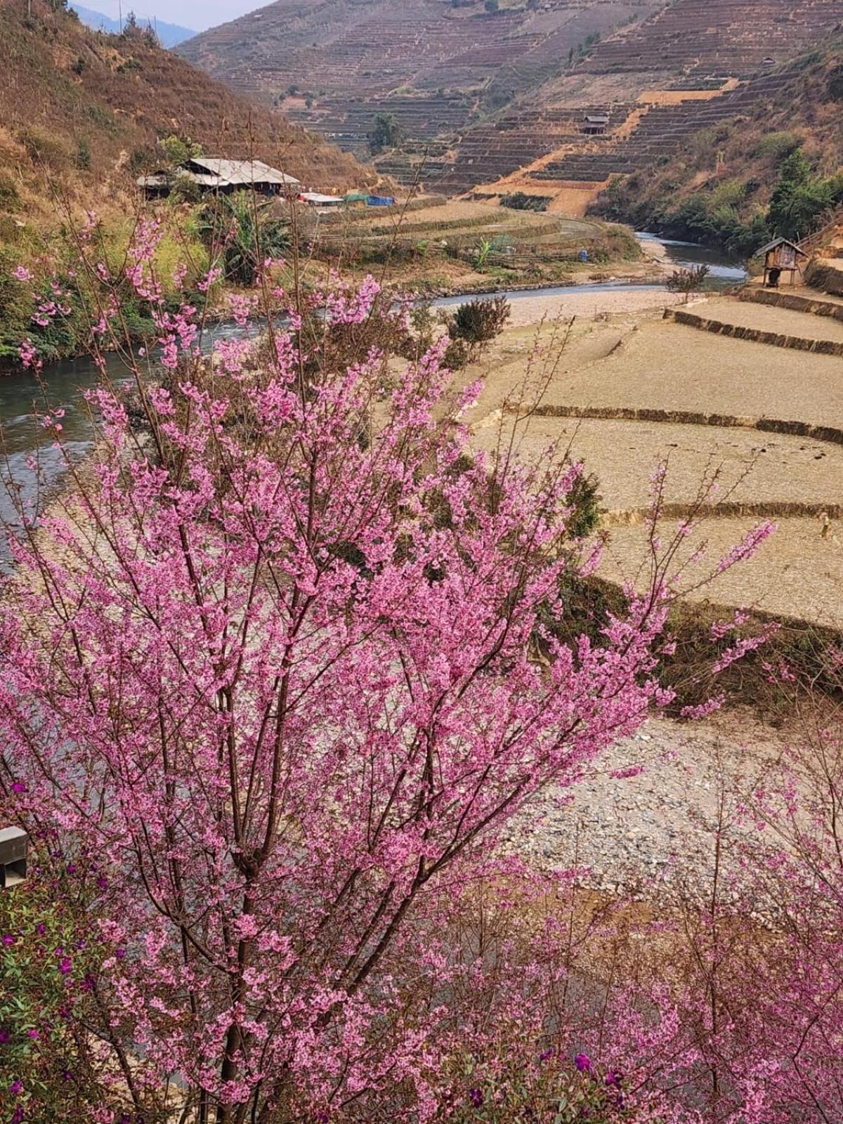 Dong Suoi H'Mong Homestay & Bungalow - Trek & Vegetarian Food Mu Cang Chai Exterior foto